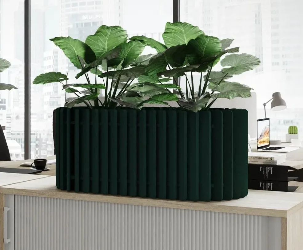 Koala_Acoustic Counter PLanter